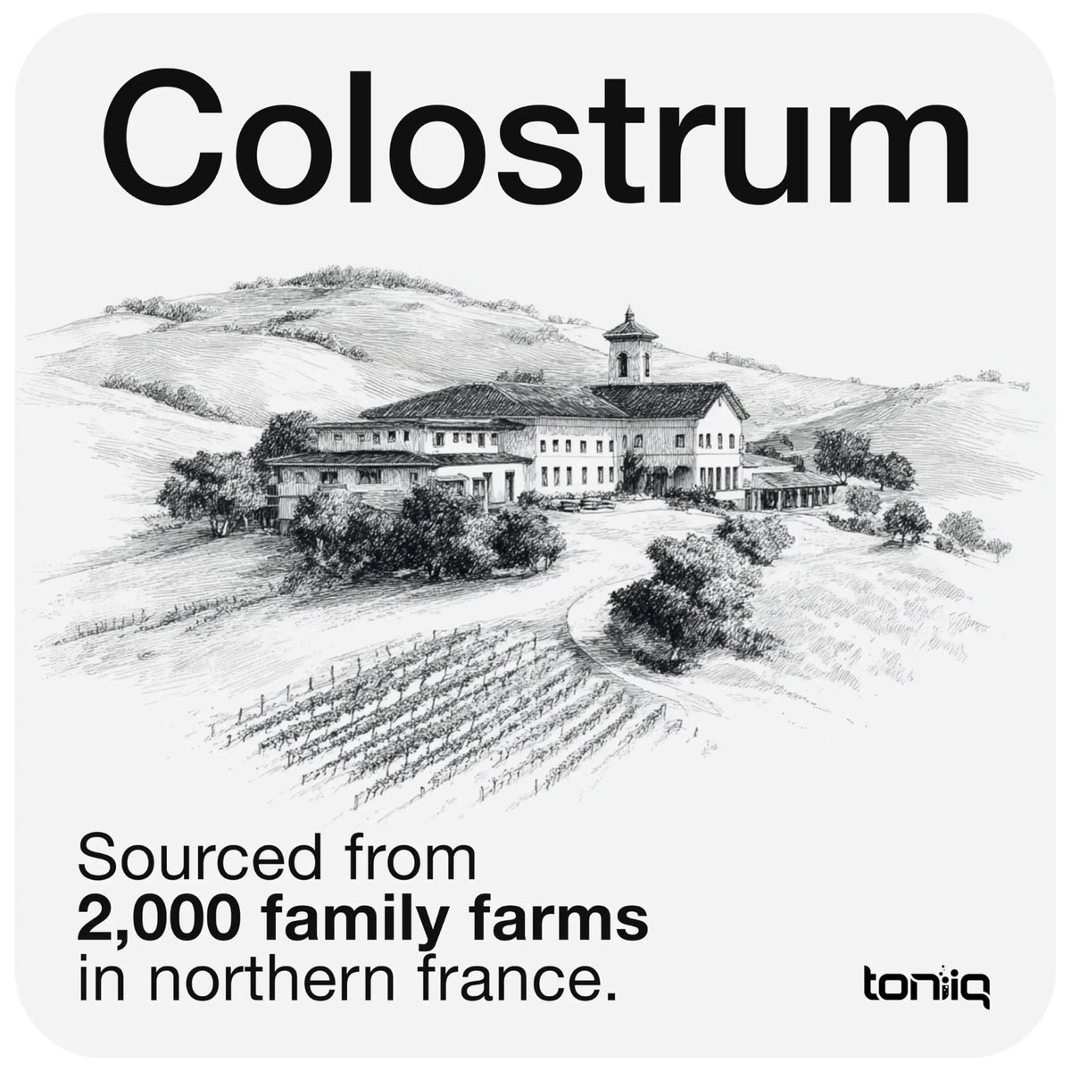 Toniiq Colostrum Powder – Ultra High Potency 50% IgG Concentrate – Farm-to-Jar Traceable French Colostrum – Microfiltered for Purity – Third-Party Lab Verified – 30 Servings - Maple Wellness Supplements