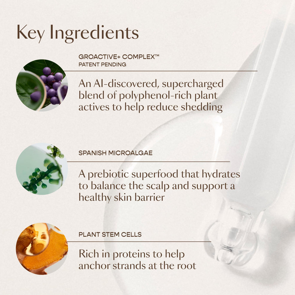 VEGAMOUR GRO+ Advanced Hair Serum for Improving Hair Density, Tonic Reduces Shedding and Promotes a Healthy Scalp, 3 pack - Maple Wellness Supplements