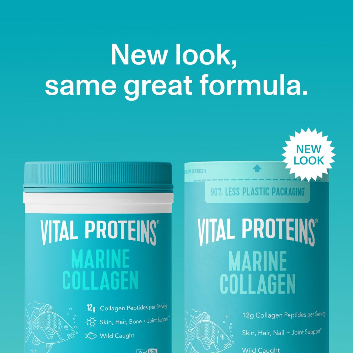 Vital Proteins Marine Collagen Peptides Powder Supplement for Skin Hair Nail Joint - Hydrolyzed Collagen - 12g per Serving - 7.8 oz Canister - Maple Wellness Supplements