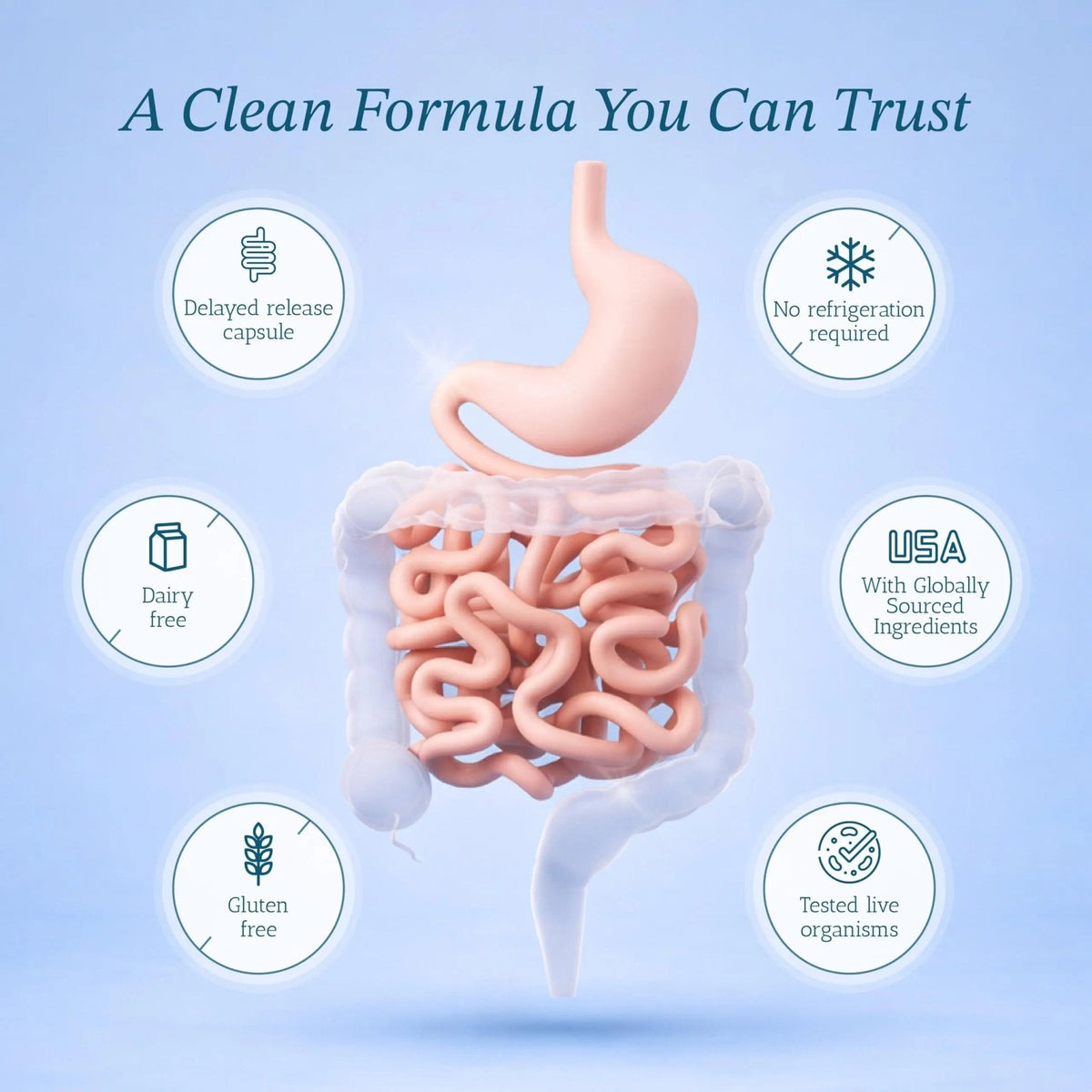 Vitamin Bounty Pro-50 Probiotics 50 Billion CFU for Women & Men - 13 Multi Strain Probiotic + Prebiotic - Digestive Health Supplements for Gut Health Support - Delayed Release Capsules for Men & Women - Maple Wellness Supplements