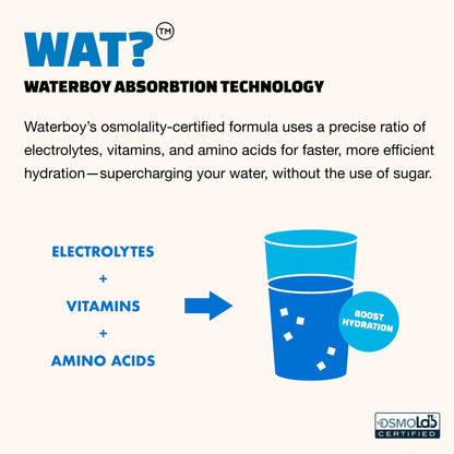 Waterboy Daily Hydration | 1,570mg Electrolyte Powder Packets | No Sugar, All Natural, Gluten Free, Zero Calories | 15 Drink Stick Mixes (Watermelon) - Maple Wellness Supplements