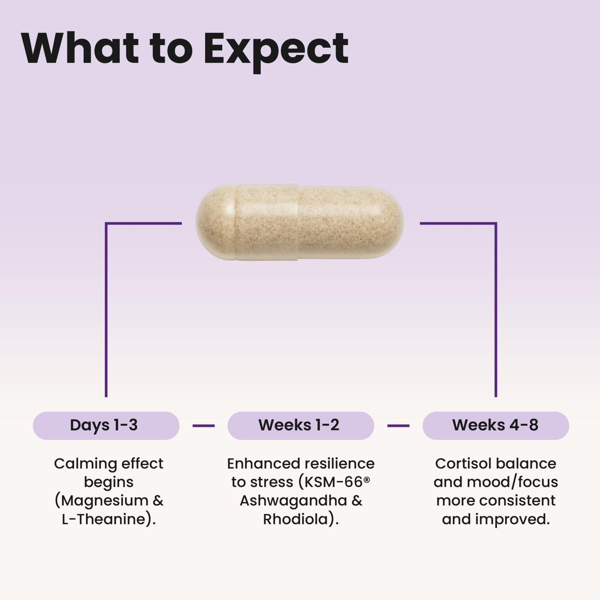 WellPath Soothe Cortisol Manager - Cortisol Supplements for Women with KSM-66® Ashwagandha & L-Theanine - Stress Support, Detox - 11-in-1 Complex, Vegan, Made in USA, Non-GMO, 60 Ct - Maple Wellness Supplements