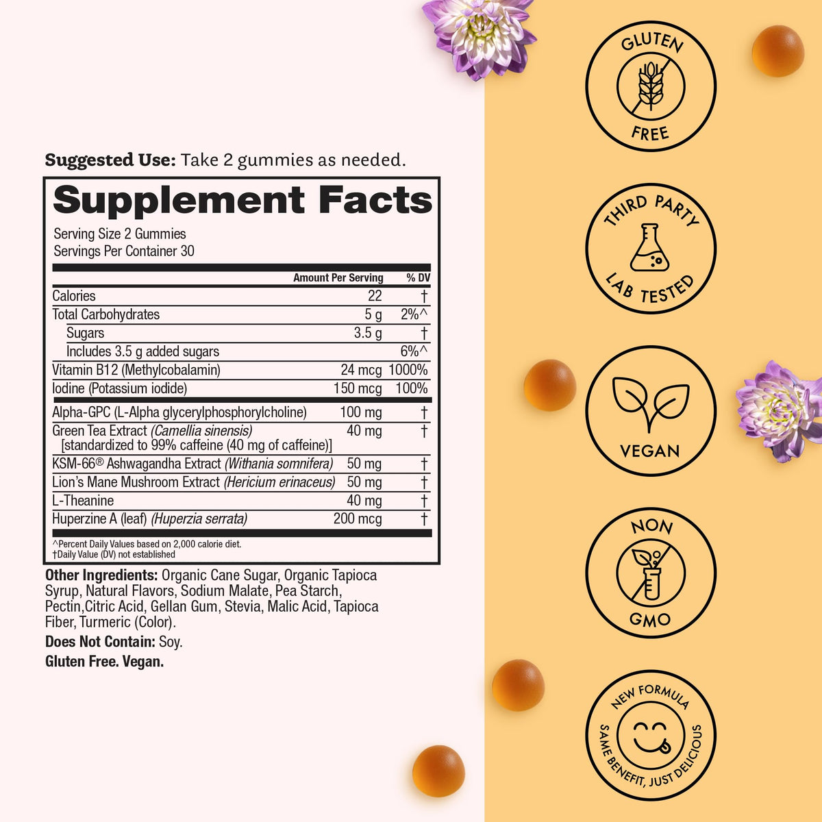 Winged Wellness Rise Up, Energy & Focus Gummies for Women - Daily Brain Boost Gummy Supplement with Natural Caffeine, Ashwagandha, B12, Nootropics Alpha-GPC & Lion’s Mane - Pineapple, 60 Gummies - Maple Wellness Supplements