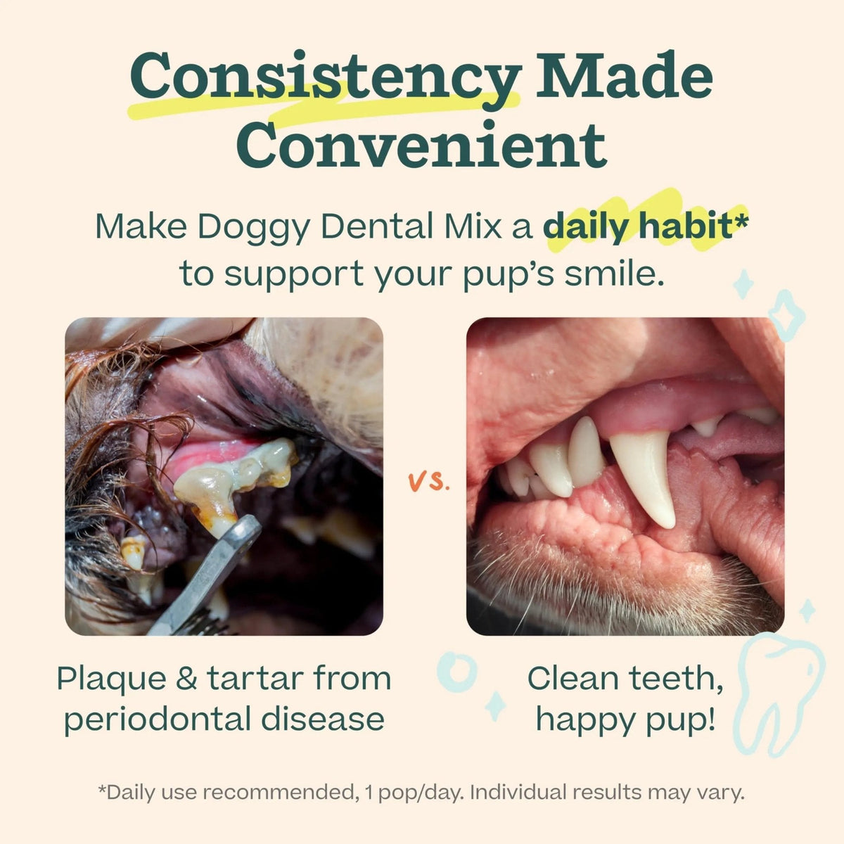 Woof Doggy Dental Pupsicle Mix - Dog Teeth Cleaning Powder for The Pupsicle - Long Lasting Postbiotic Dental Enzyme Mix to Support Oral Health for Dogs - Maple Wellness Supplements